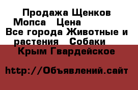 Продажа Щенков Мопса › Цена ­ 18 000 - Все города Животные и растения » Собаки   . Крым,Гвардейское